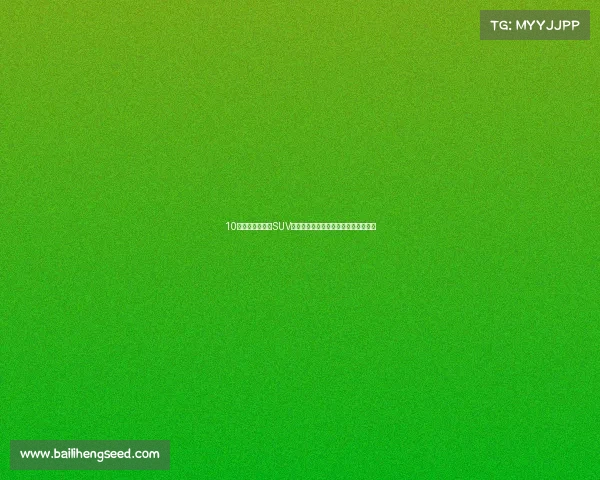 10万就能买到合资SUV？新劲炫除了性价比高还有这三大优点