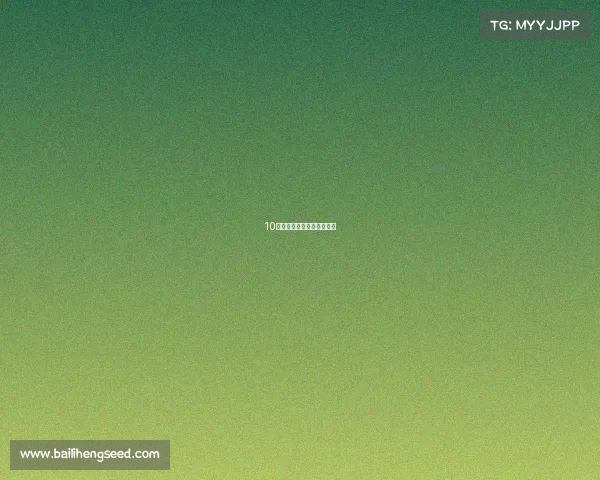 10款保养成本低得离谱的宝马