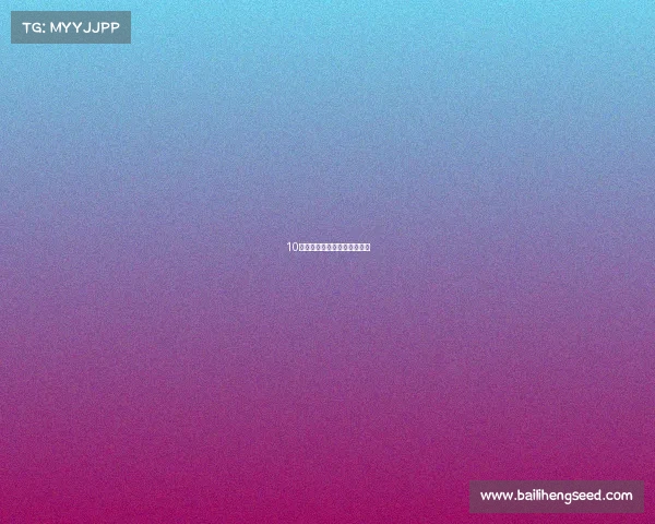 10款适合各种预算的旅行摩托车