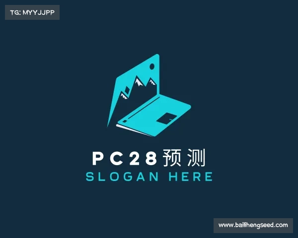 认识PC28预测